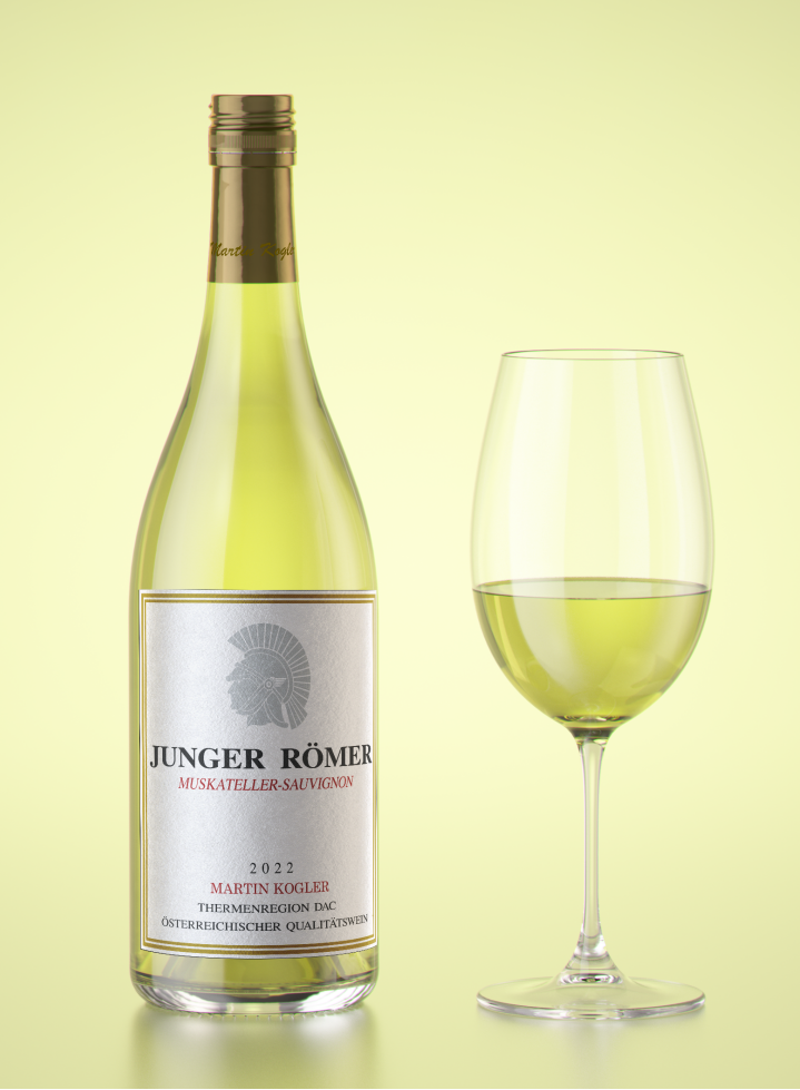 Junger Römer